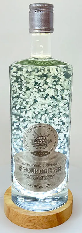 Bottle light make your finger lime gin into a display piece!