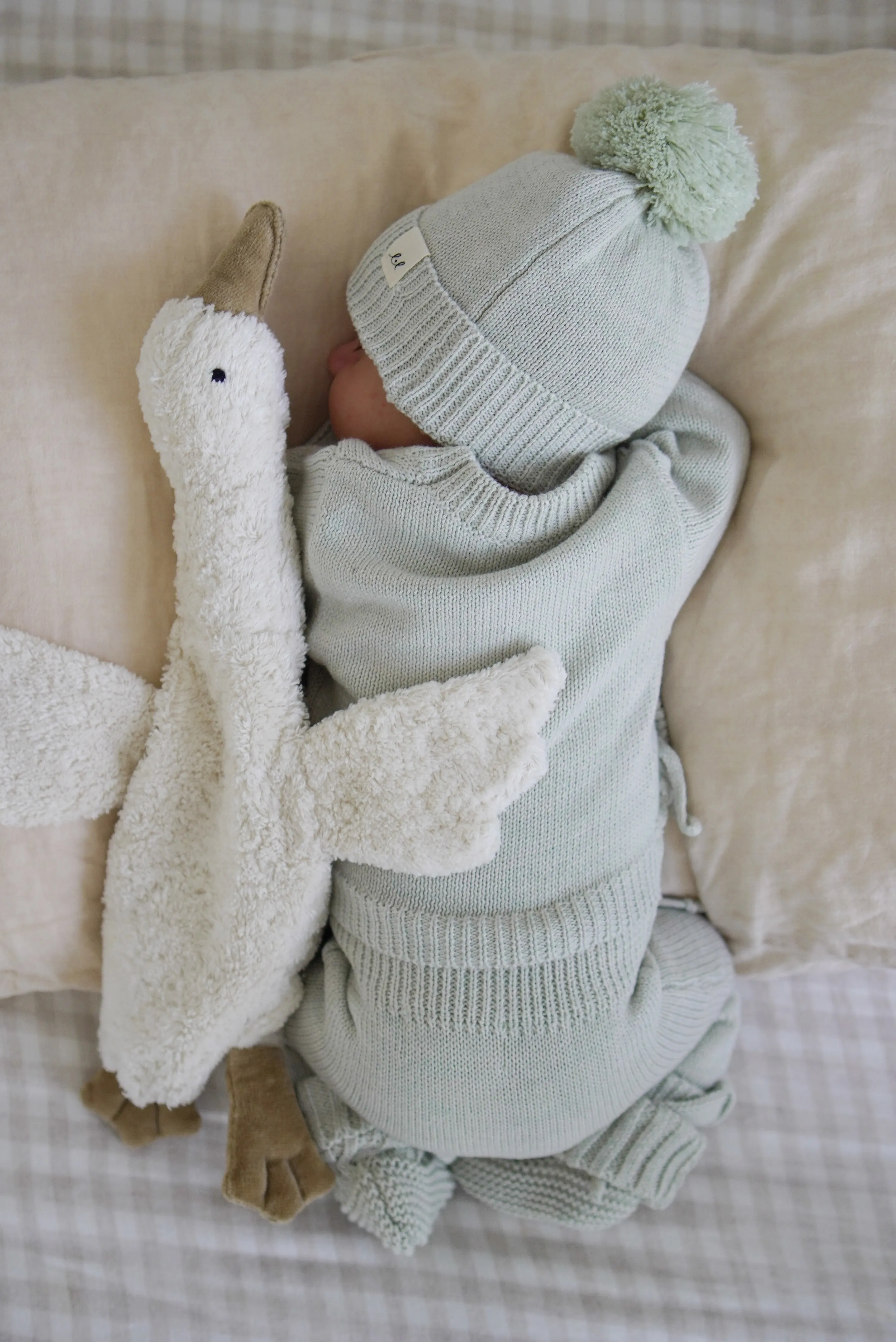 Bring Me Home Rib Bundle | Light Sage