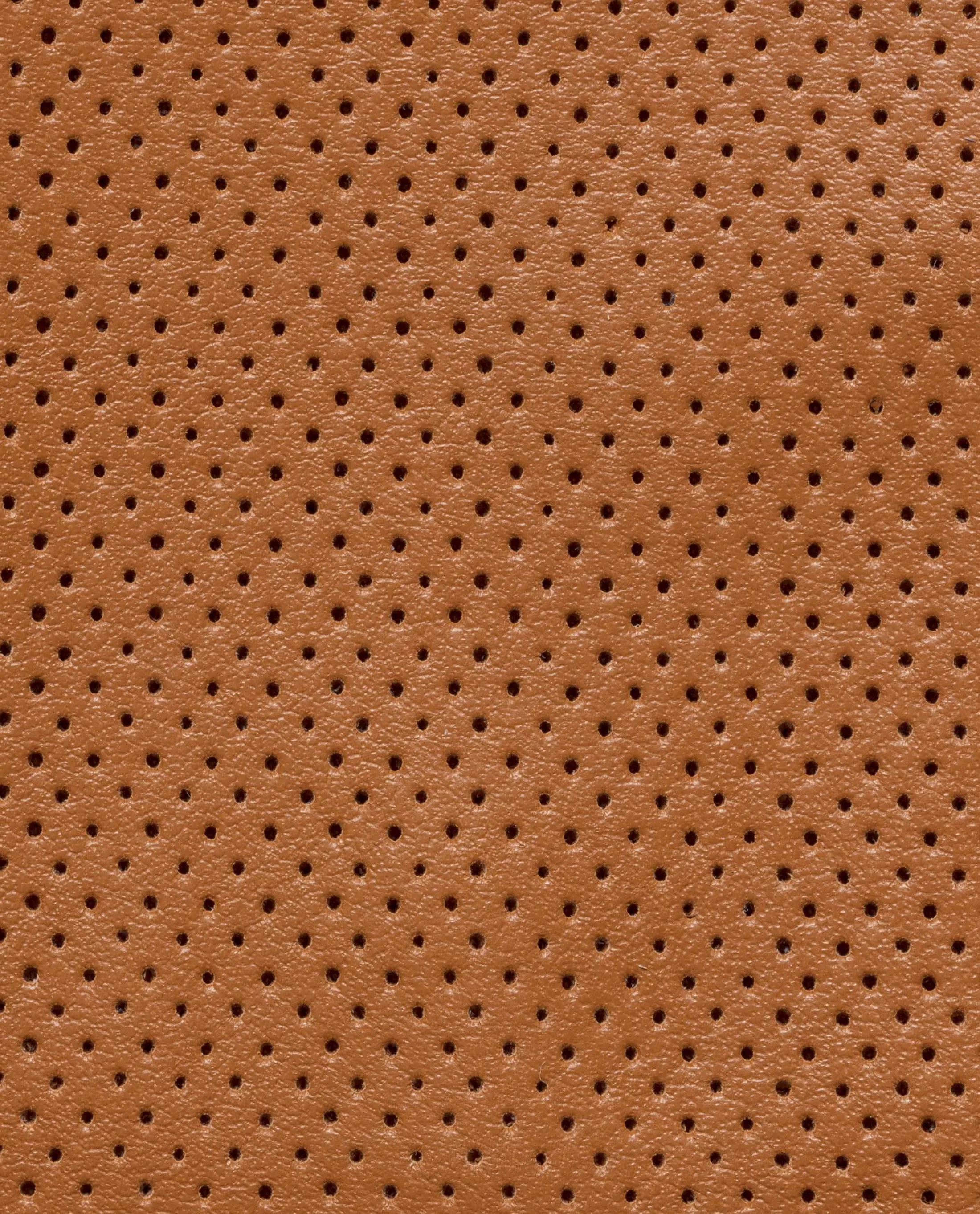 Camel Perforated Calf Low-Top Sneakers