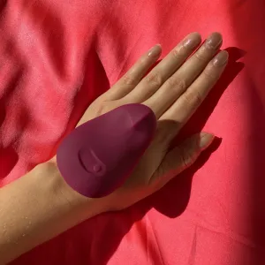 Dame: Pom Flexible Vibrator - Plum