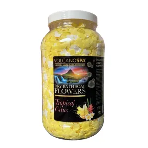 Dry Bath Soap Flowers 1 Gallon - Tropical Citrus
