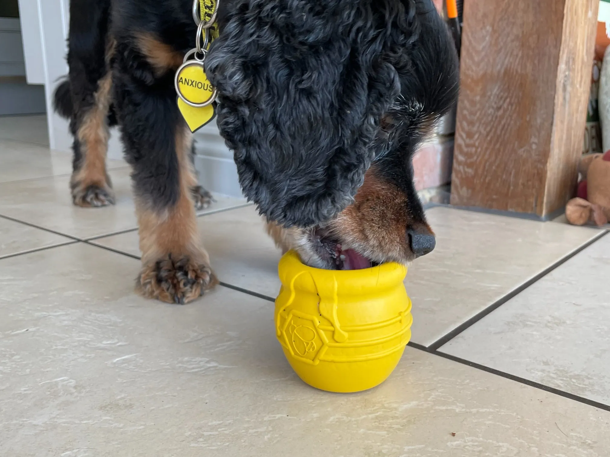 Large Honey Pot Durable Rubber Treat Dispenser & Enrichment Toy
