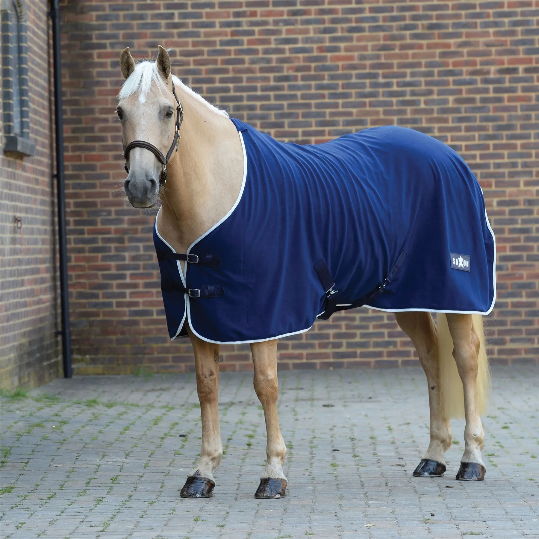Saxon Defiant Fleece Standard Neck