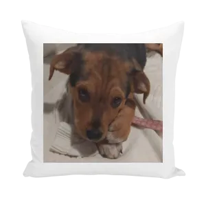 Throw Pillow/Cushion Cover - Rescue Pets Collection - "Lucy" VI (3 Styles Available)