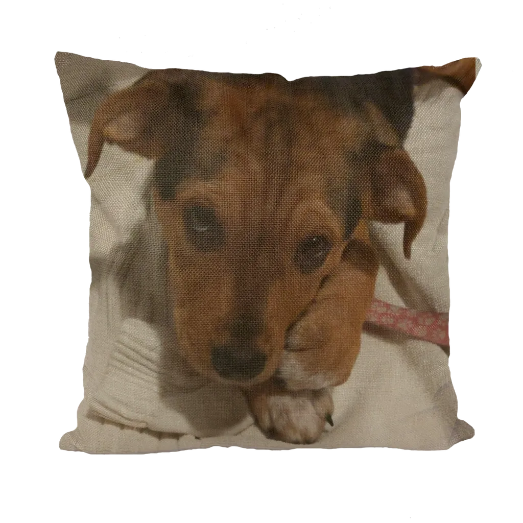 Throw Pillow/Cushion Cover - Rescue Pets Collection - "Lucy" VI (3 Styles Available)